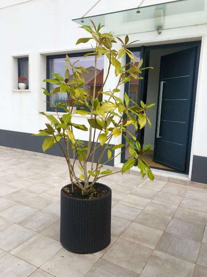 Casa Patio Country House Enxara do Bispo エクステリア 写真