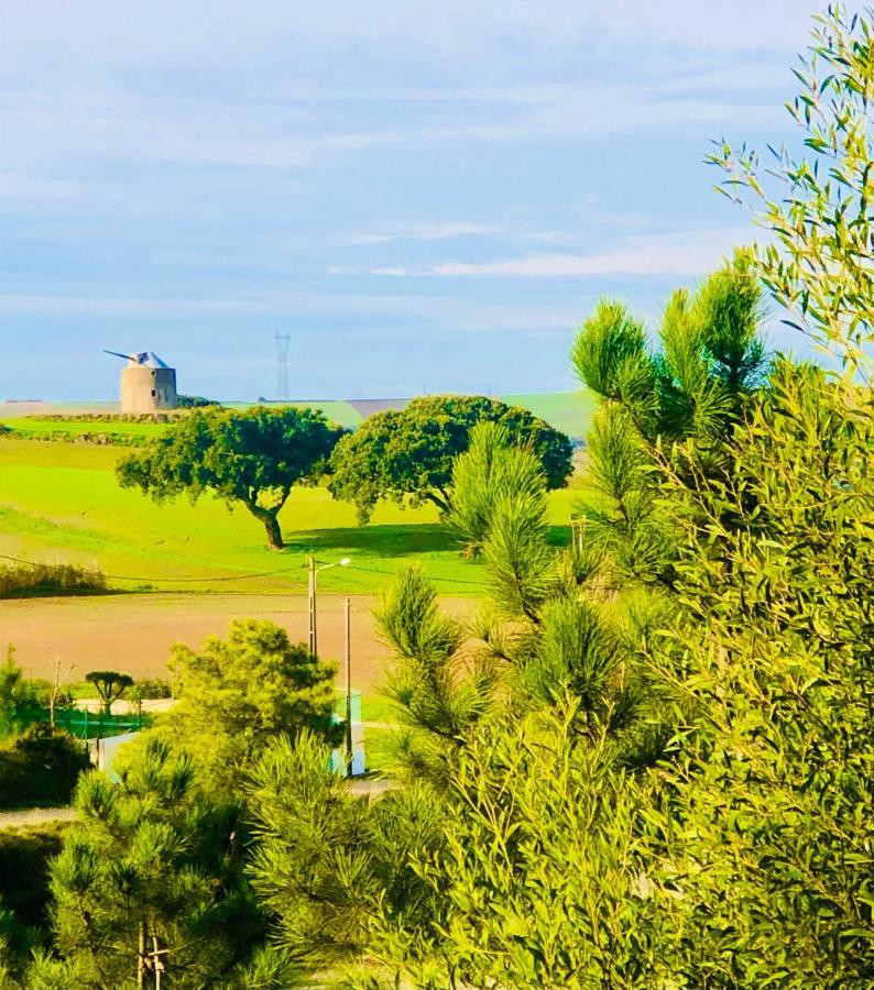 Casa Patio Country House Enxara do Bispo エクステリア 写真