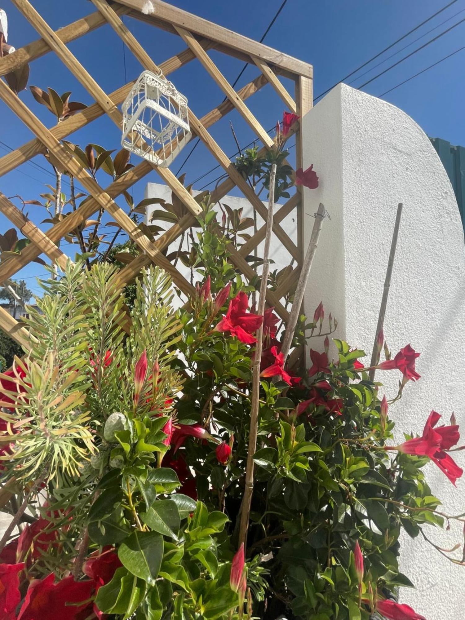 Casa Patio Country House Enxara do Bispo エクステリア 写真